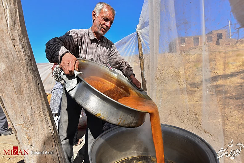 فواید و خواص فوقالعاده «دوشاب» برای این افراد